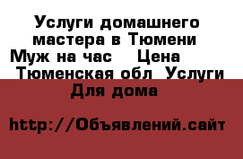 Услуги домашнего мастера в Тюмени (Муж на час) › Цена ­ 500 - Тюменская обл. Услуги » Для дома   